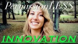 Elon Musk & Permissionless Innovation