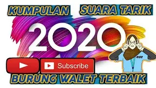 Kumpulan Suara Tarik Burung Walet Terbaik 2020
