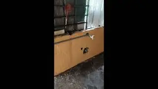 Posengauto kg sg buaya #subscribe #pomenkampung #share #allah #maha #besar