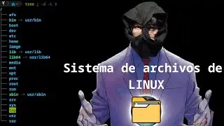 Sistema de archivos de LINUX | Entiende para que sirve cada directorio