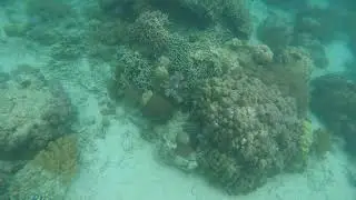 Giant Clam Sanctuary (Camiguin) Phils. trip 2020