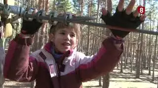 Trotapáramus: Pinares de Soria