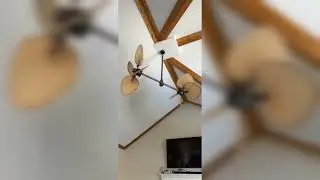 Fanimation Palisade Ceiling Fan