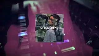exclusive artistpack by DRAGUTESKU - producertools.net