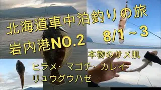 北海道車中泊釣りの旅「岩内港NO.2 初めてのヒラメ」