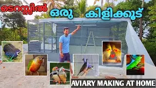 ടെറസിന് മുകളിൽ ഒരു കിളിക്കൂട്|Dream Aviary|Aviary Making at Terrace|JIBISPETS💫#birdaviary #birds