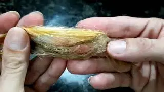 Colorimetria Avan&ccedil;ada - Neutralizando o Fundo Amarelo - Heder Freire