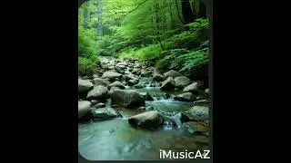 Quiet Stream| 528 Hz Love Frequency – Meditation & Healing