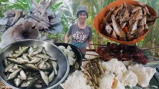 My Husband Went Early to a River For Fishing, He didn't Only Got Fishes But Fresh Mushrooms As Well