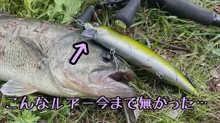 【インプレ】アベンジミノー170の実釣＆使い方ご紹介！