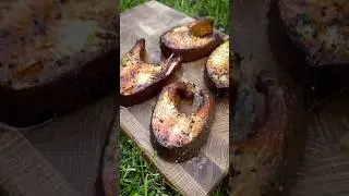 Копченая рыба на угольном гриле HOT SIDE easy GO #гриль #bbq