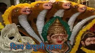 साँप की केचुली का सच क्या है?