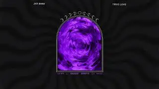 Jay Bird - True Love  [DISCO HOUSE]