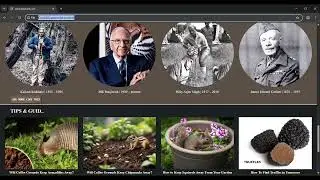 Making website for collage project using html & css with some javascript#coding #webdevelopment