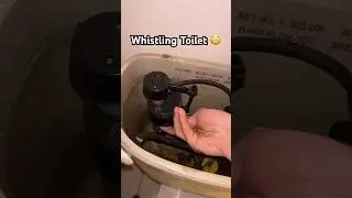 How To Fix! #plumbing #whistling #toilet #bathroom #fyp #john #fixit #hardware #diy #home #shorts