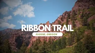 Ribbon Trail Virtual Hike - Nature Sounds - Eugene Oregon - DJI Osmo Action 4