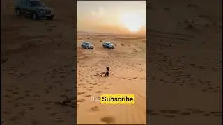 🔥 Desert Safari Adventure in Dubai! 🏜️ Sandboarding Thrills Begin! 🏂✨