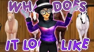 One Outfit, 17 Horses - Star Stable Outfit Challenge!
