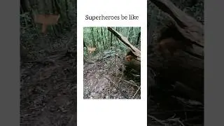Keeping the forest safe #shorts #superhero #animals