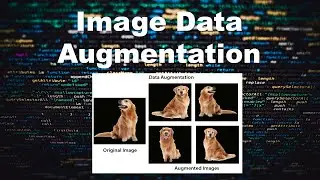 Image Data Augmentation