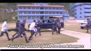 Special Task Force (STF) in APF