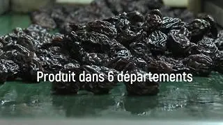 Les différentes étapes de la prune au pruneau