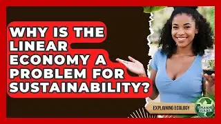 Why Is The Linear Economy A Problem For Sustainability? - Explaining Ecology