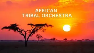African Tribal Orchestra