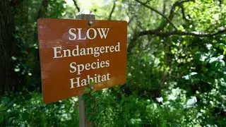 Amazon tropical rain forest n Indian sub continent Hot spot Biodiversity zone 