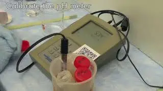 Phosphate Buffer
