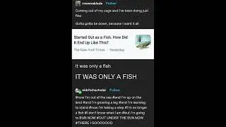 poorly singing the full version of mr. fishguy