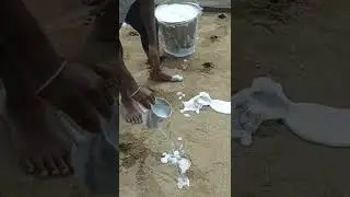 Termite control service Coimbatore 9750755910