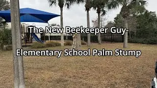The New Beekeeper Guy - Elementary School Palm Stump