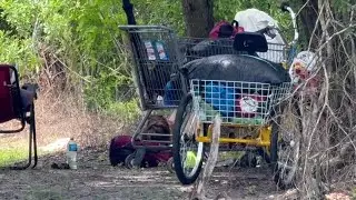 Collier County could end veteran homelessness in one year, nonprofit says