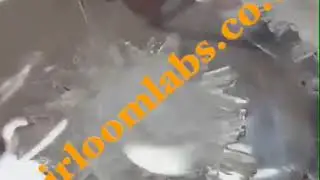 CBD CRYSTAL ISOLATE FORMATION