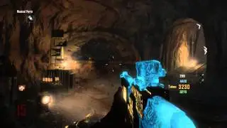 Black Ops 2 - Unlimited Rounds With Only One Spawn Origins Zombies