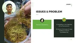 PUMPKIN SEEDS AND RED SEAWEED CRISPS (ID 19)