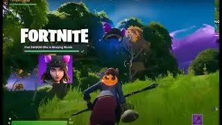Fortnite Battle Royale How to find and catch Shadow Ollie Hat.