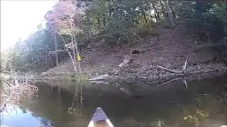 Frontenac Park: Two Nights That Turned Into One