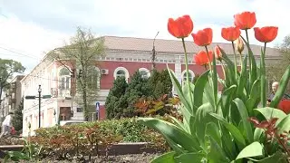 Прилуки місто квітів