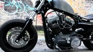 Suicide Harley Davidson Sportster 48   Downtown Chicago