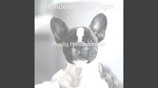 Verleidelijk