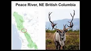 Scaling Up Webinar: Yellowstone to Yukon Initiative with Dr. Jodi Hilty  (Nov 14, 2017)