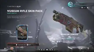 NEW Museum Rifle Skin Pack - 11/9/19 Gears 5 Store
