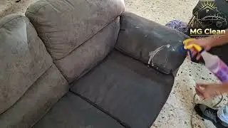 Lavado y desinfección de sala con pelo de mascota.🐶