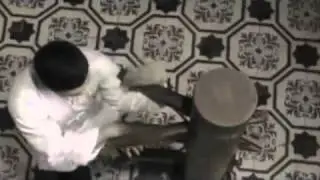 Ip man tribute