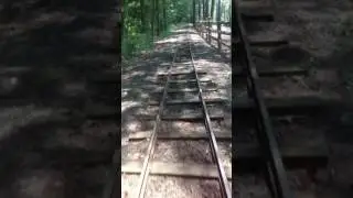 Turtle Back Zoo train ride