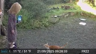Pictures & Videos GardePro A3 Trail Camera 9 of 12 FR22 Part 3 Côtes d'Armor, Brittany, France