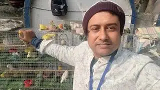 Shrirampur bird market/ shrirampur pakhir haat/ 18 jan/ 8328800194