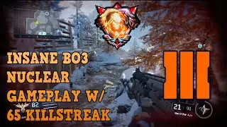 INSANE 65 KILLSTREAK ON BO3 W/ NUCLEAR: My opinions on the game!!!